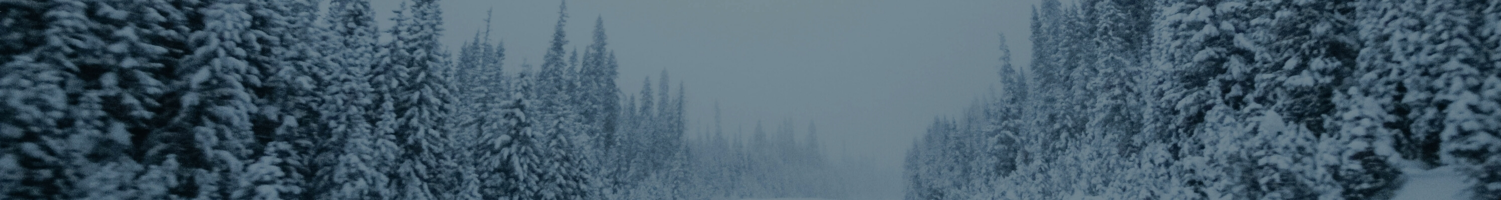 Shop up to 65% off clearance with code FCN4. Image features snow covered pine trees.